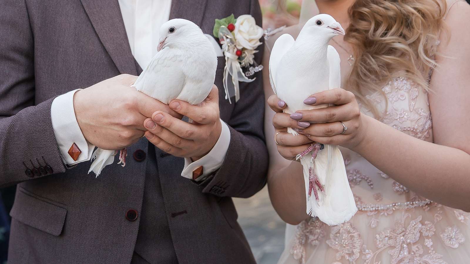 We're Members of the National Dove Registry